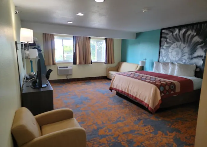 Super8 By Wyndham Nearby Clearwater St Petersburg International Airport Hotel Pinellas Park