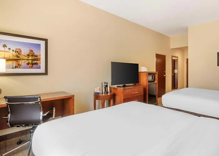 Comfort Inn & Suites Northeast - Gateway St. Petersburg