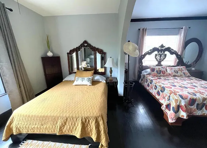 Heavenly Suite In Little Havana Free Parking Miami che accetta animali