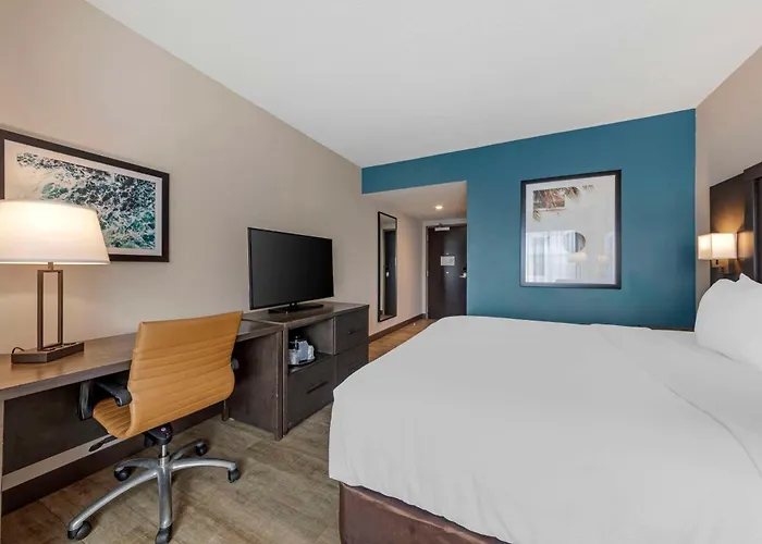 Haustierfreundliches Comfort Inn & Suites Miami International Airport Miami Springs