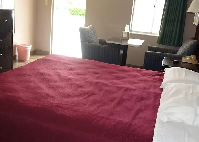 Haustierfreundliches Palm City Motel Fort Myers