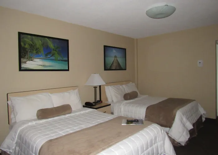 Cove Motel Oceanfront Daytona Beach