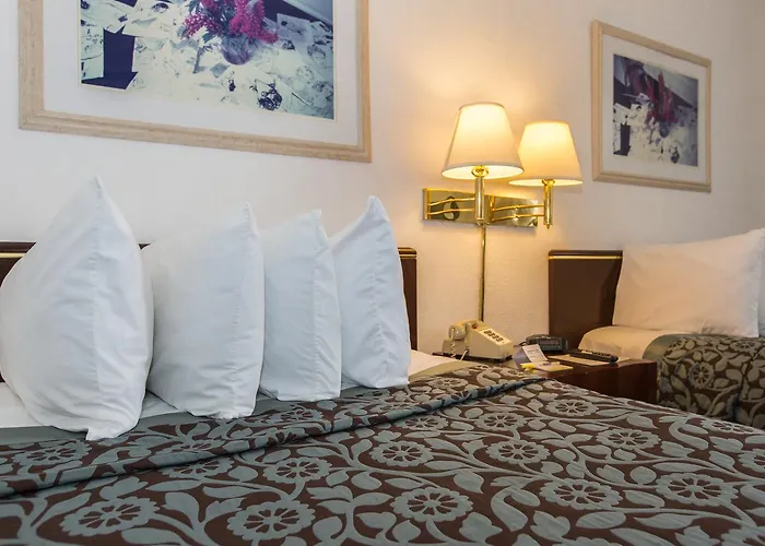 Haustierfreundliches Thunderbird Beach Hotel Sunny Isles Beach